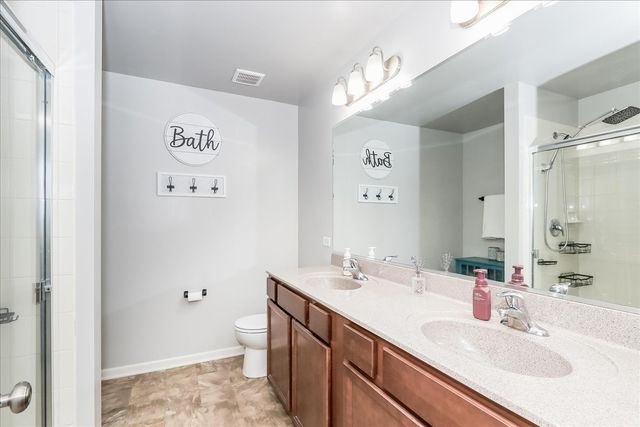 342 Snow Drop Lane, Elgin, IL 60124