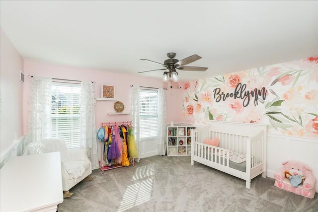 342 Snow Drop Lane, Elgin, IL 60124