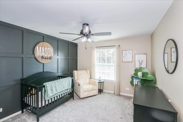 342 Snow Drop Lane, Elgin, IL 60124