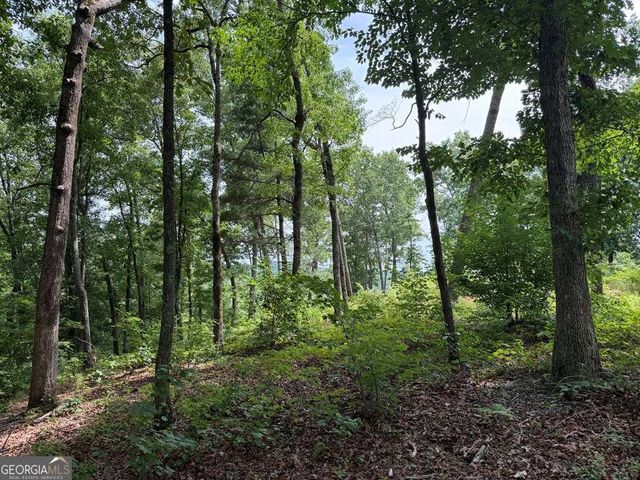 LOT 20 Lake Top Lane 20, Ellijay, GA 30540