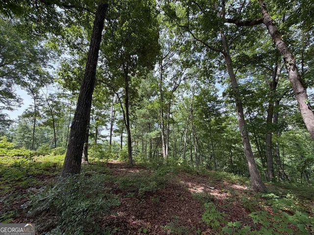 LOT 20 Lake Top Lane 20, Ellijay, GA 30540