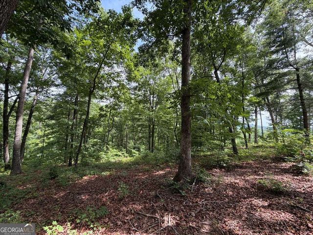 LOT 20 Lake Top Lane 20, Ellijay, GA 30540