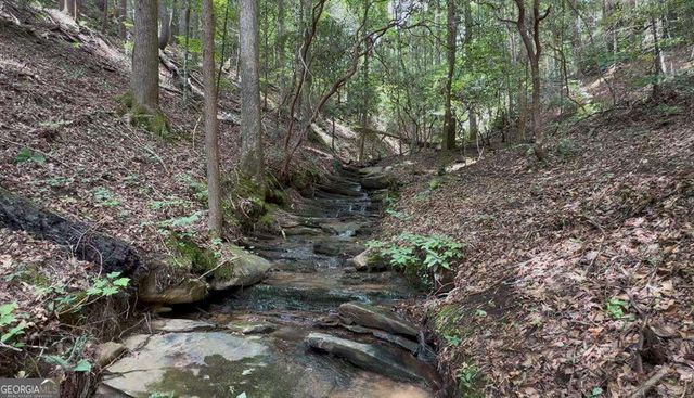 LOT 20 Lake Top Lane 20, Ellijay, GA 30540