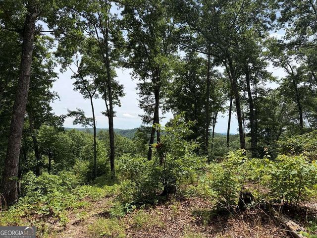 LOT 20 Lake Top Lane 20, Ellijay, GA 30540