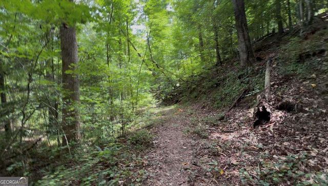LOT 20 Lake Top Lane 20, Ellijay, GA 30540