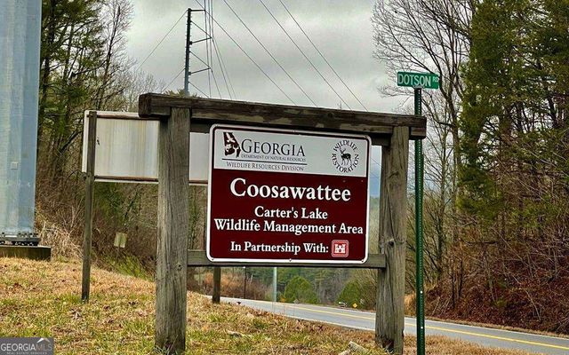 LOT 20 Lake Top Lane 20, Ellijay, GA 30540