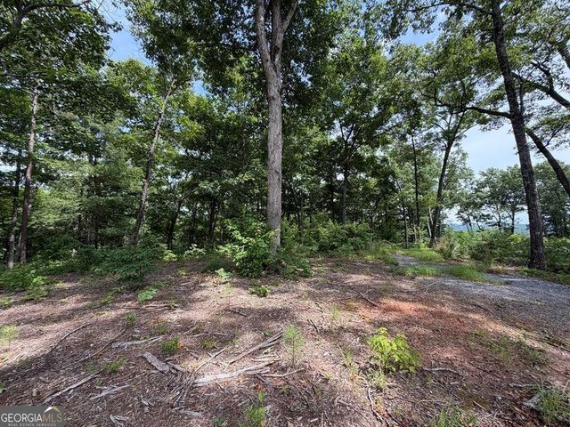 LOT 20 Lake Top Lane 20, Ellijay, GA 30540