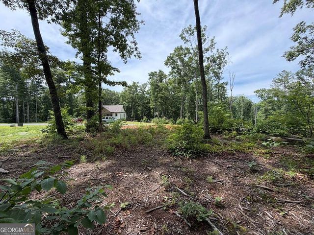 LOT 20 Lake Top Lane 20, Ellijay, GA 30540