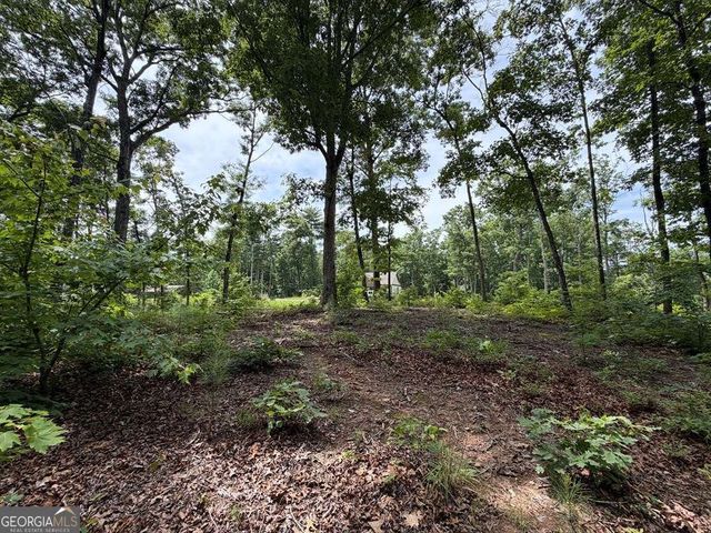 LOT 20 Lake Top Lane 20, Ellijay, GA 30540