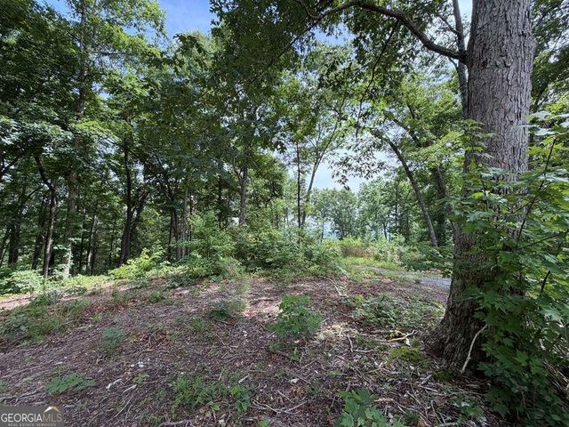 LOT 20 Lake Top Lane 20, Ellijay, GA 30540