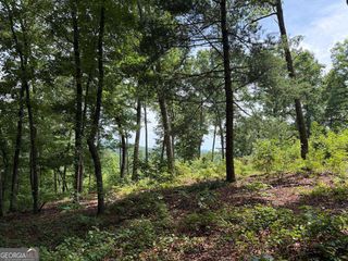 LOT 20 Lake Top Lane 20, Ellijay, GA 30540