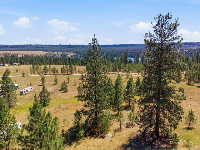 7736 Adams Drive Way, Ford, WA 99013