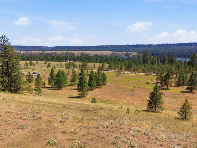 7736 Adams Drive Way, Ford, WA 99013