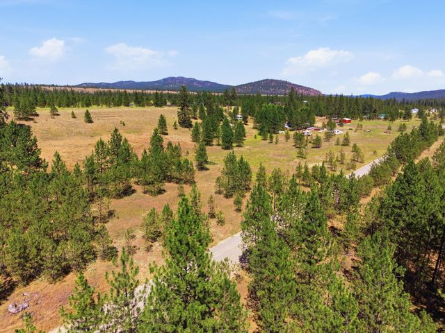 7736 Adams Drive Way, Ford, WA 99013