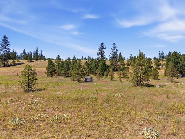 7736 Adams Drive Way, Ford, WA 99013
