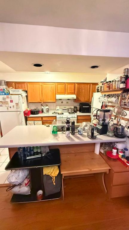 3200 S Throop Street B, Chicago, IL 60608 — photo 5