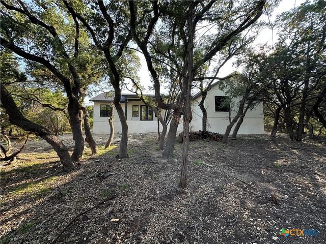 1229 Stallion Springs Drive, Fischer, TX 78623