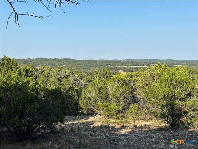 1229 Stallion Springs Drive, Fischer, TX 78623