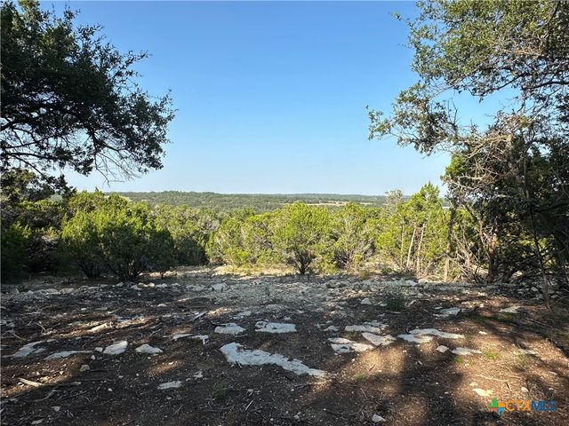 1229 Stallion Springs Drive, Fischer, TX 78623