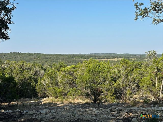 1229 Stallion Springs Drive, Fischer, TX 78623