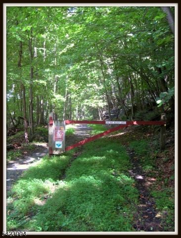 913 Kill Drive, Stillwater Twp., NJ 07860