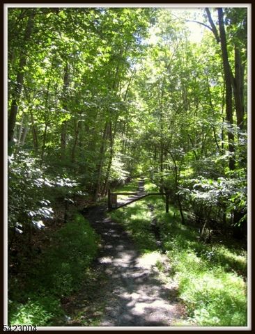 913 Kill Drive, Stillwater Twp., NJ 07860