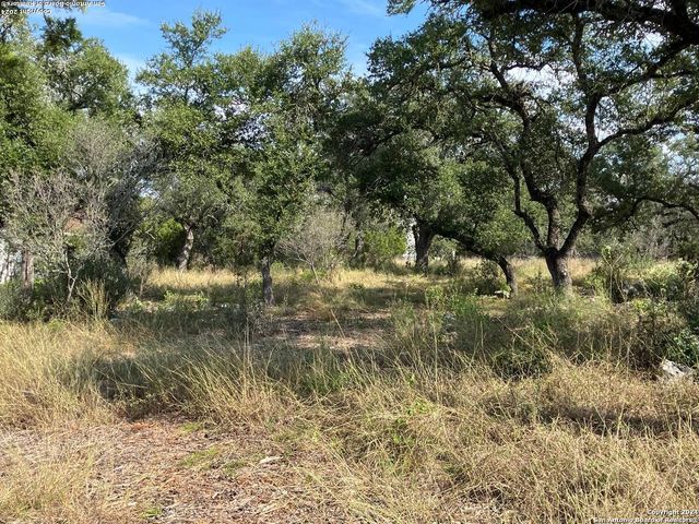 6380 SPRING BRANCH RD, Spring Branch, TX 78070
