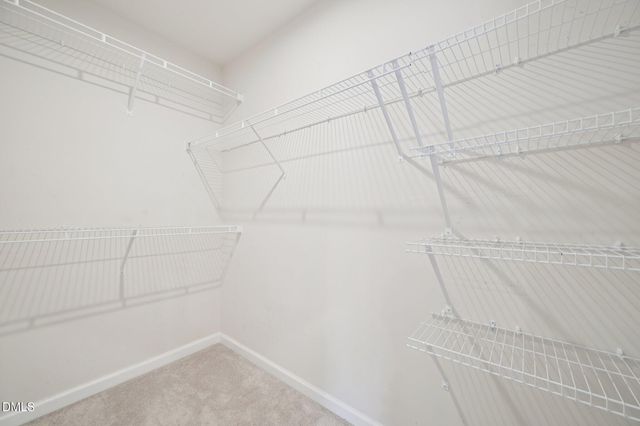 8744 Red Canyon Way, Raleigh, NC 27616