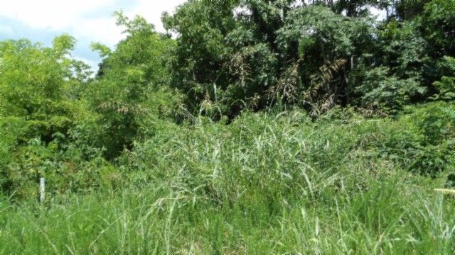 4 F Trout Lane, Hilham, TN 38568