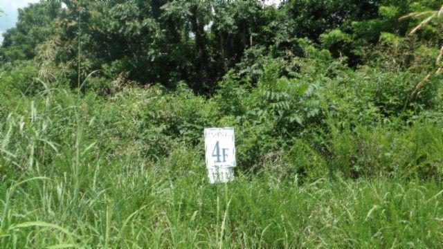 4 F Trout Lane, Hilham, TN 38568