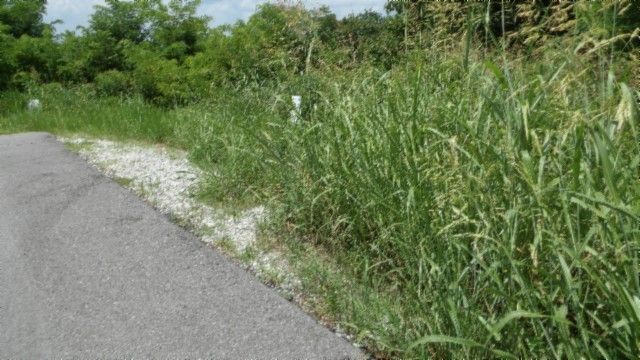 4 F Trout Lane, Hilham, TN 38568