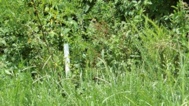 4 F Trout Lane, Hilham, TN 38568