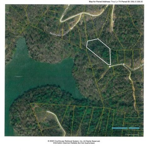 4 F Trout Lane, Hilham, TN 38568