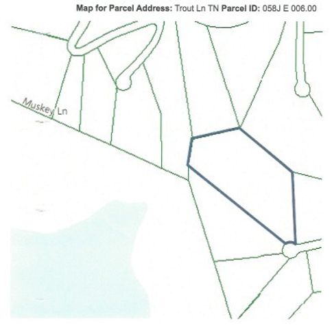 4 F Trout Lane, Hilham, TN 38568