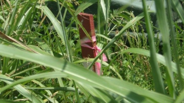 4 F Trout Lane, Hilham, TN 38568