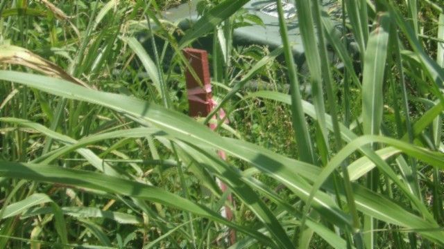 4 F Trout Lane, Hilham, TN 38568