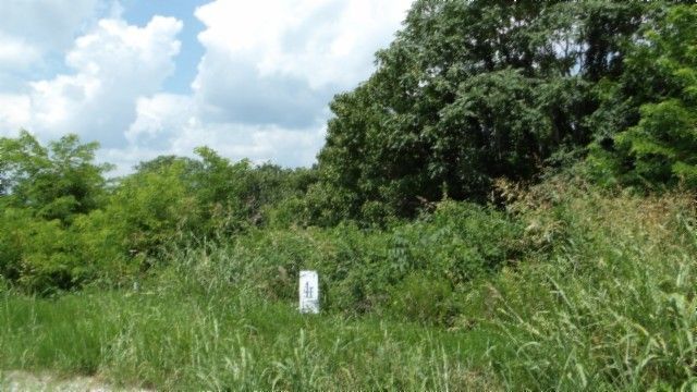 4 F Trout Lane, Hilham, TN 38568