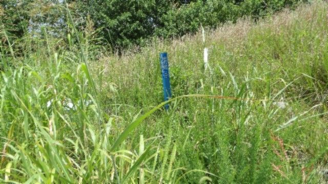 4 F Trout Lane, Hilham, TN 38568