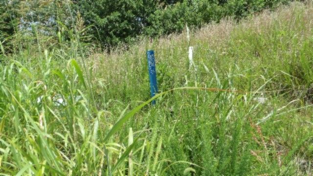 4 F Trout Lane, Hilham, TN 38568