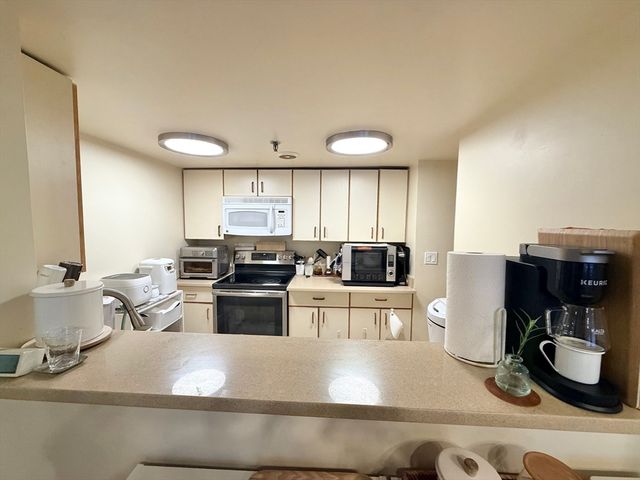 20 Webster St 307, Brookline, MA 02446