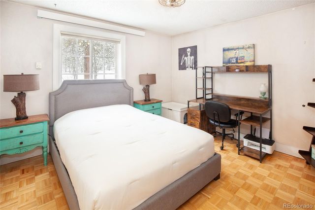 93 Busch Run, Fairplay, CO 80440