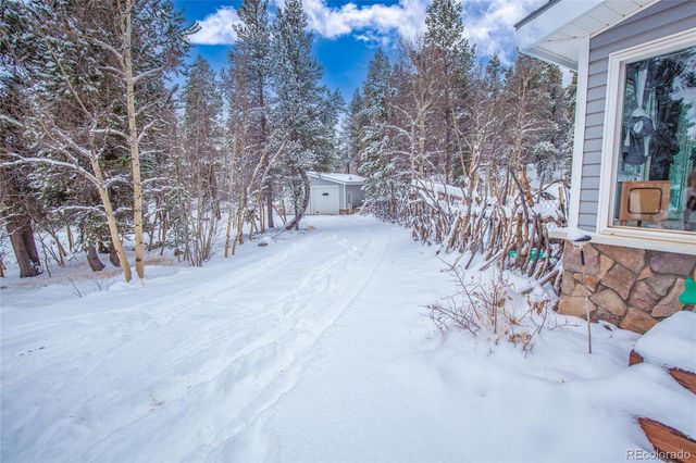 93 Busch Run, Fairplay, CO 80440