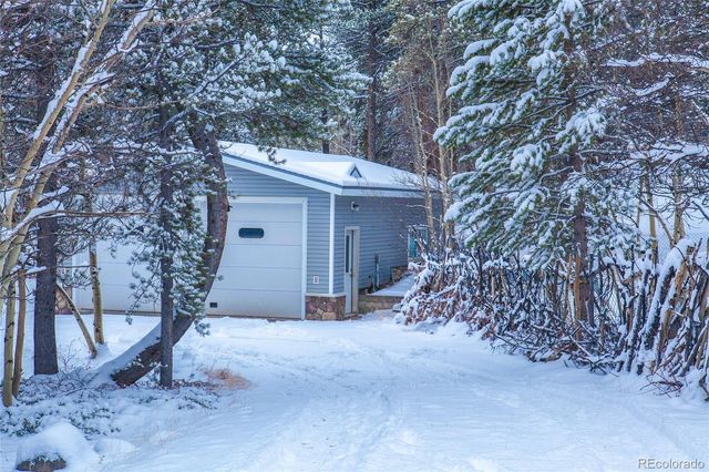 93 Busch Run, Fairplay, CO 80440