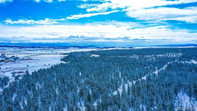 93 Busch Run, Fairplay, CO 80440