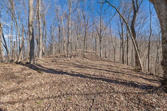 215 Hickman Creek Road S, Hickman, TN 38567