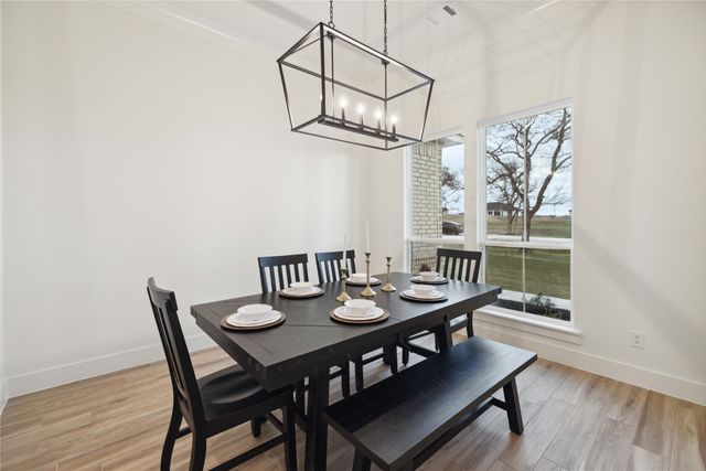 252 Oak Meadow Lane, Weatherford, TX 76085