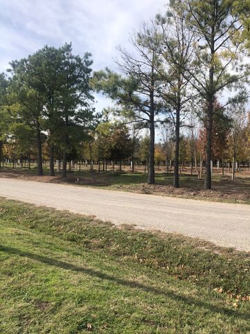 TBD Jenkins Road, Collinsville, TX 76233