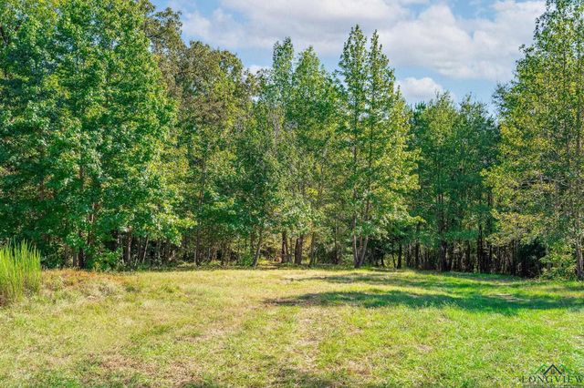 220 Union Grove Cemetery RD, Gladewater, TX 75647