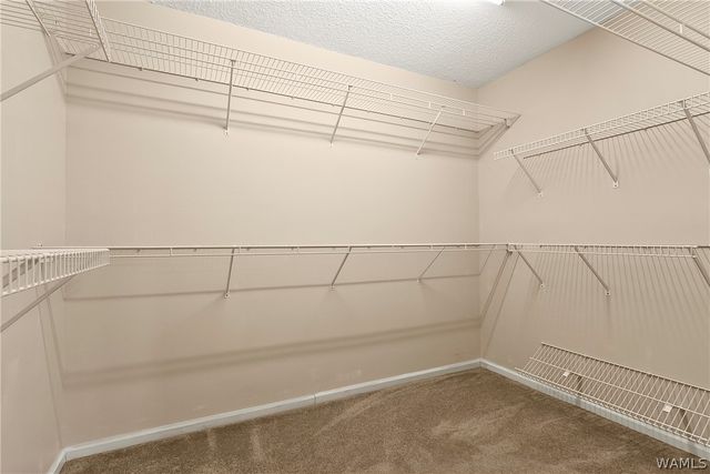 6200 Birchwood, Tuscaloosa, AL 35405