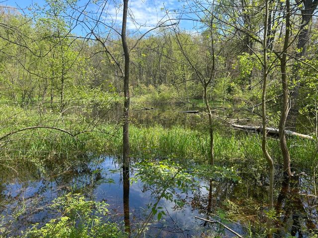 10953 Red Bud Trail, Oronoko Twp, MI 49103